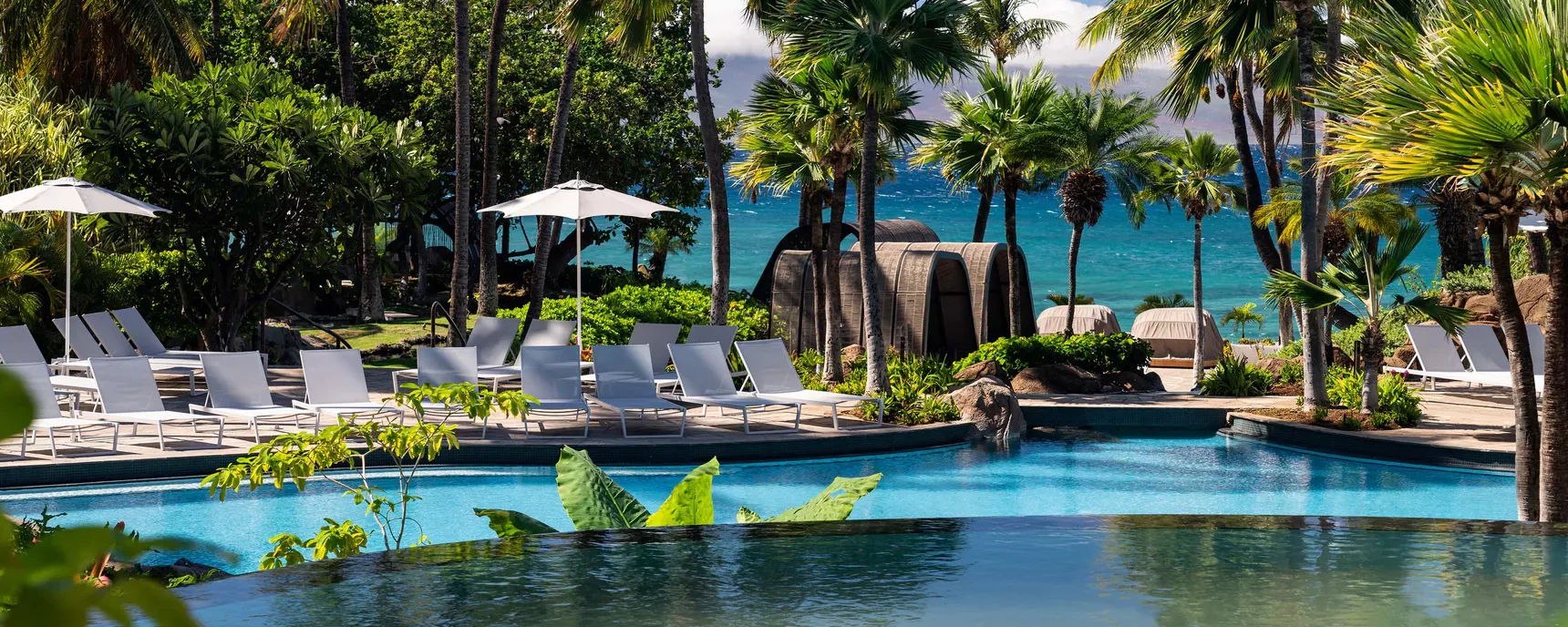 Source: https://www.marriott.com/en-us/hotels/hnmwi-the-westin-maui-resort-and-spa-kaanapali/experiences/