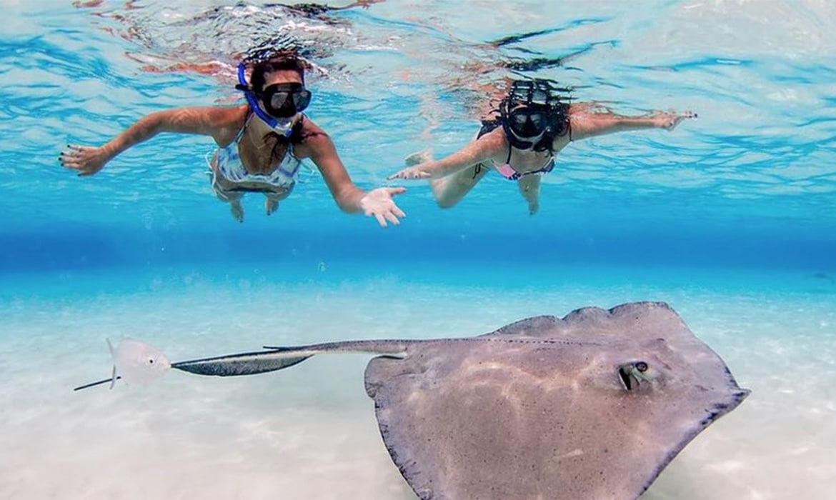 Stingray City